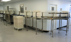 Conveyor Handling of Trays in Food Factory