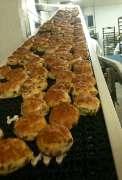 Smart Manufacturing Conveyor System for Scone Manufacture